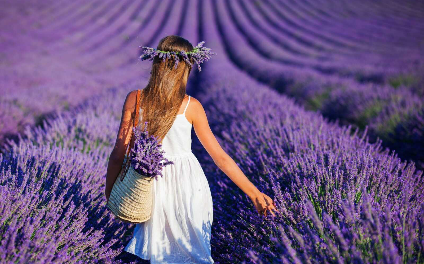 лавандовое поле + озеро салда